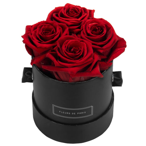 Petit / Noir - Rond / Royal Red
